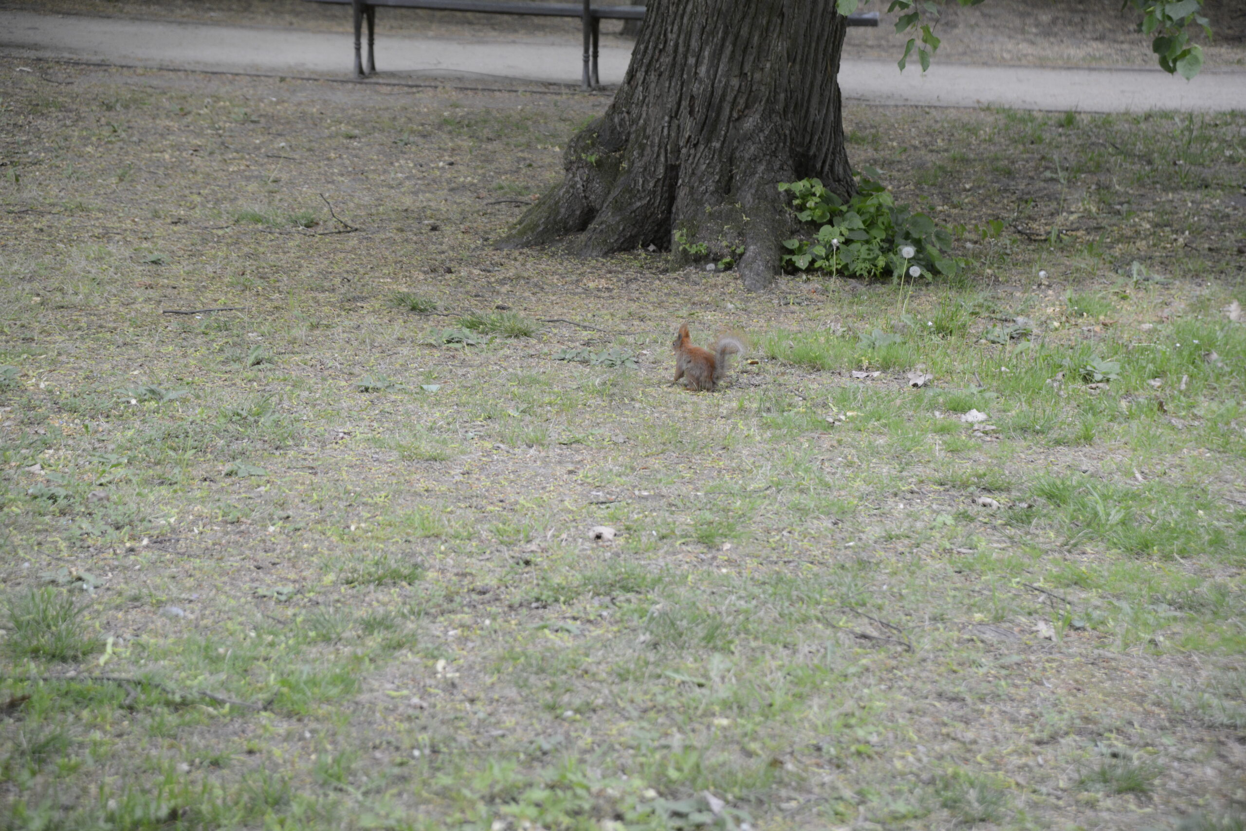 2026_05_09_Warszawa_092