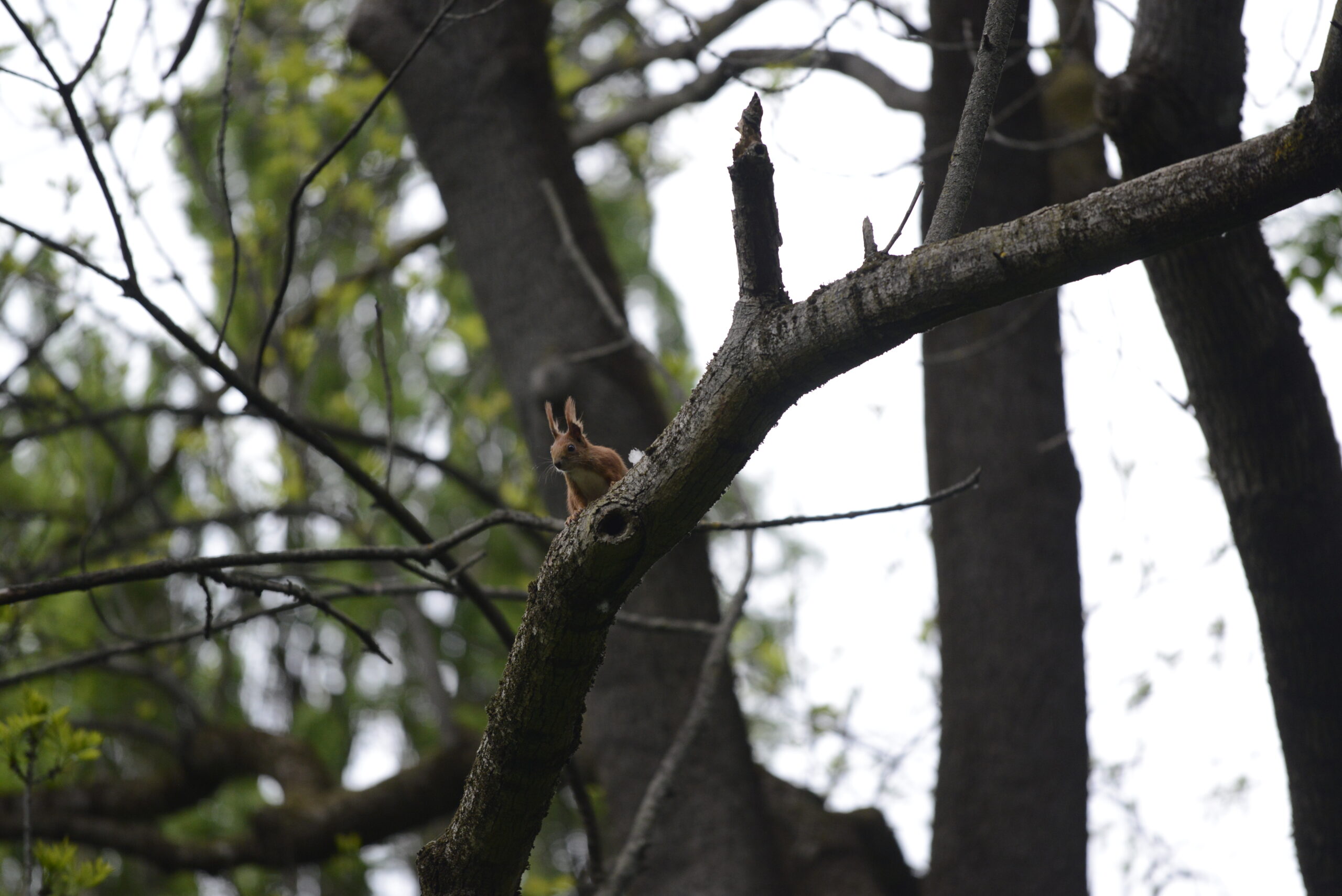 2026_05_09_Warszawa_117
