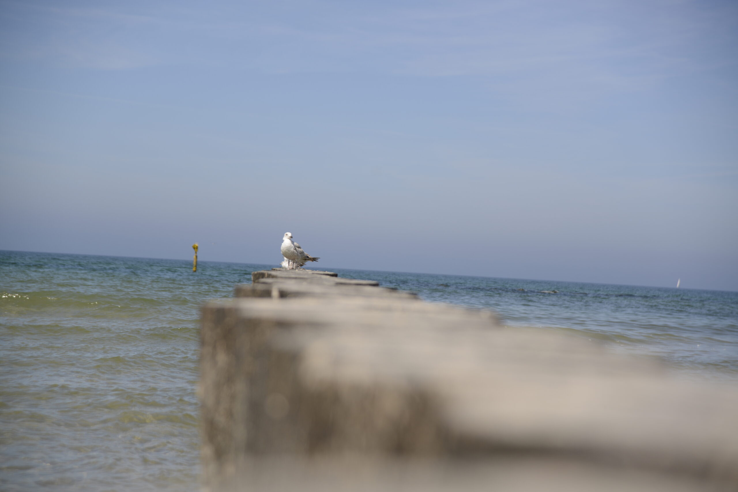 2026_05_23_Ustka_Part_1_03