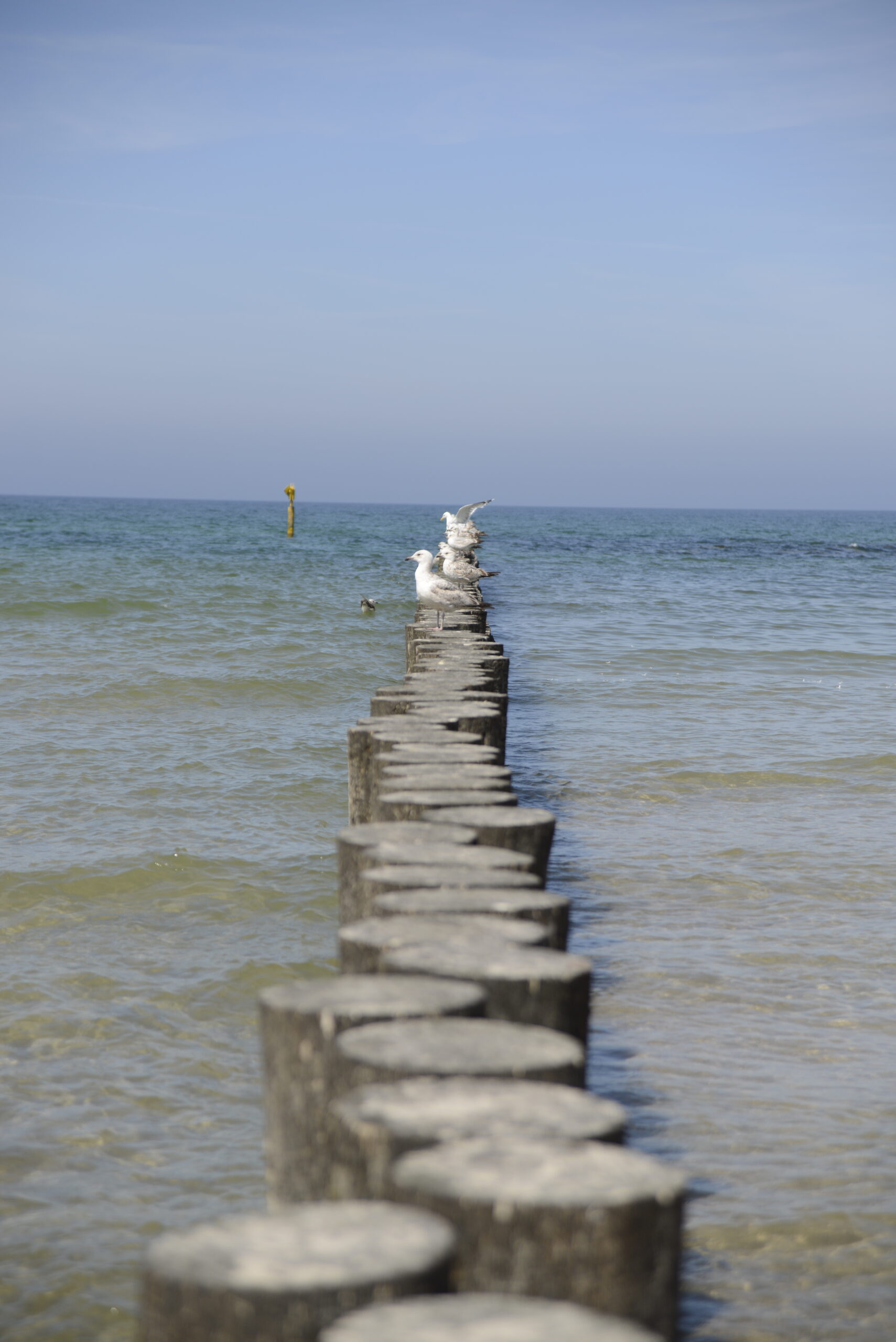 2026_05_23_Ustka_Part_1_05