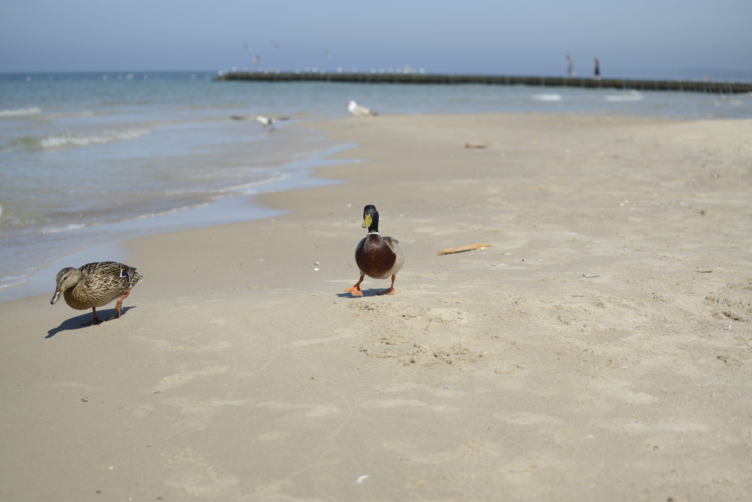 2026_05_23_Ustka_Part_1_15