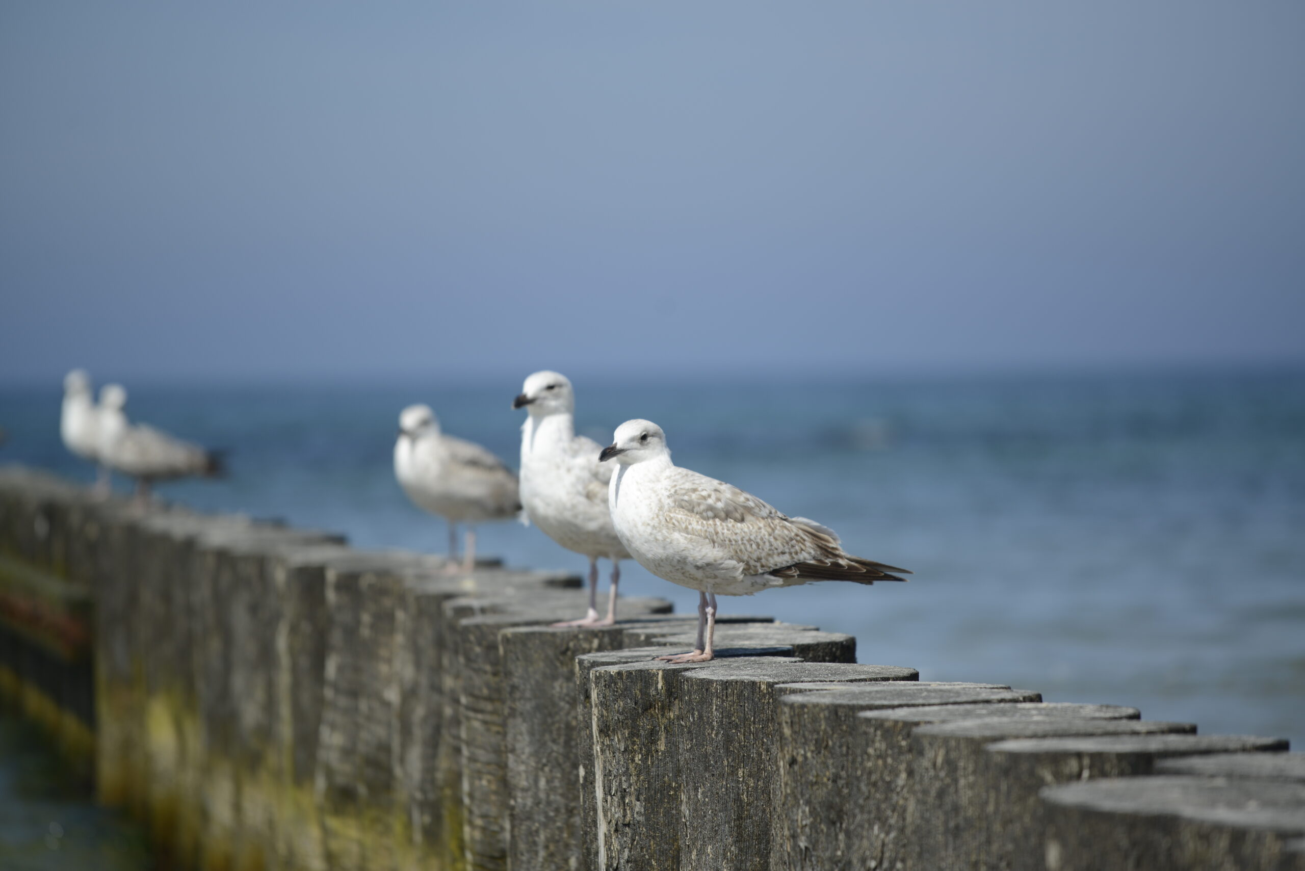 2026_05_23_Ustka_Part_1_17