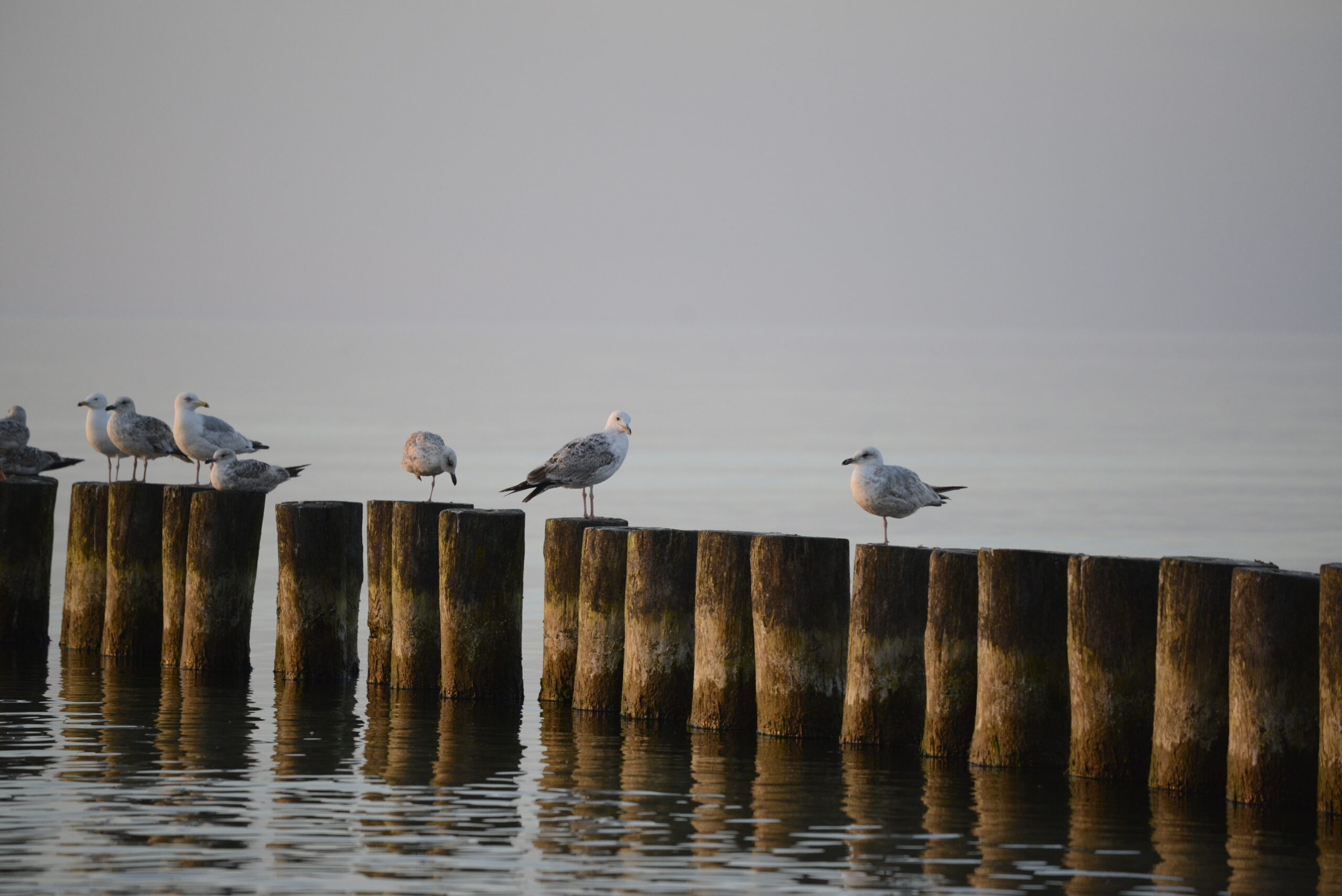 2026_05_23_Ustka_Part_3_20