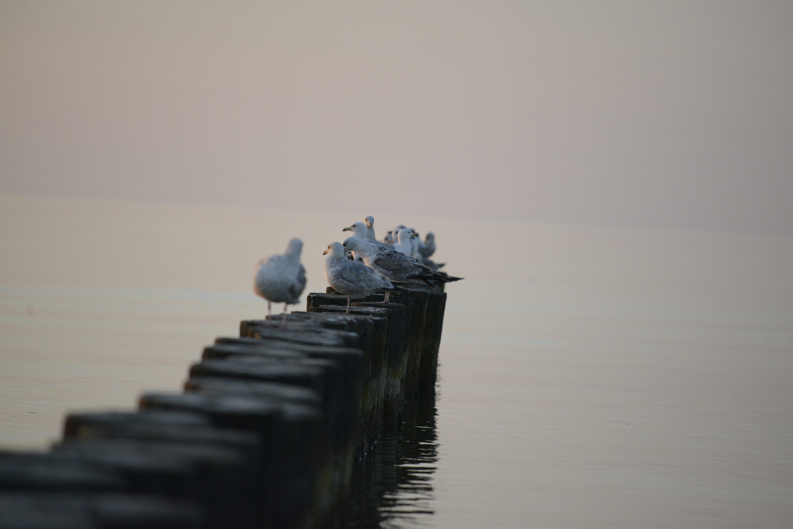 2026_05_23_Ustka_Part_3_22