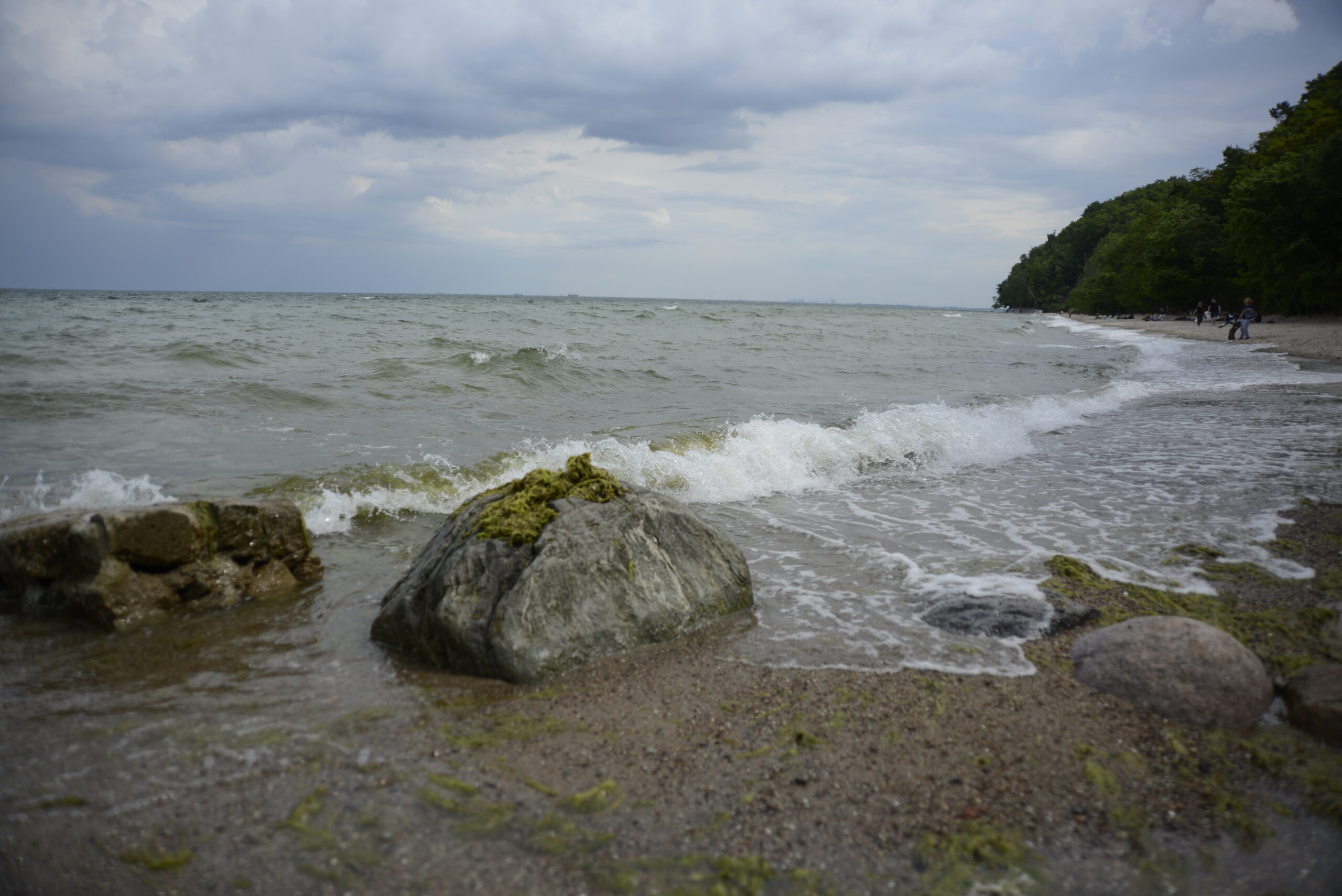 Michal_Lasota