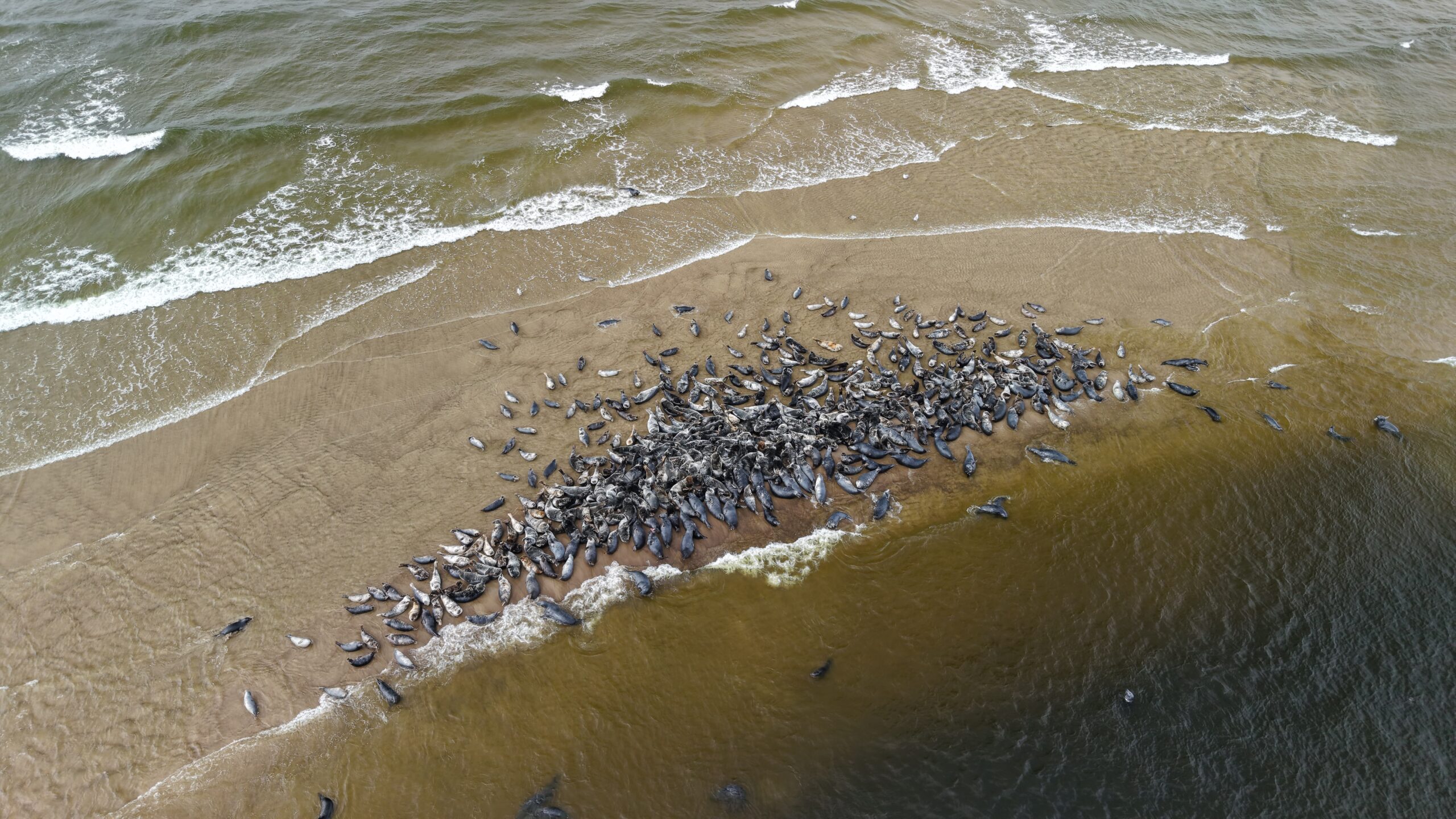 default