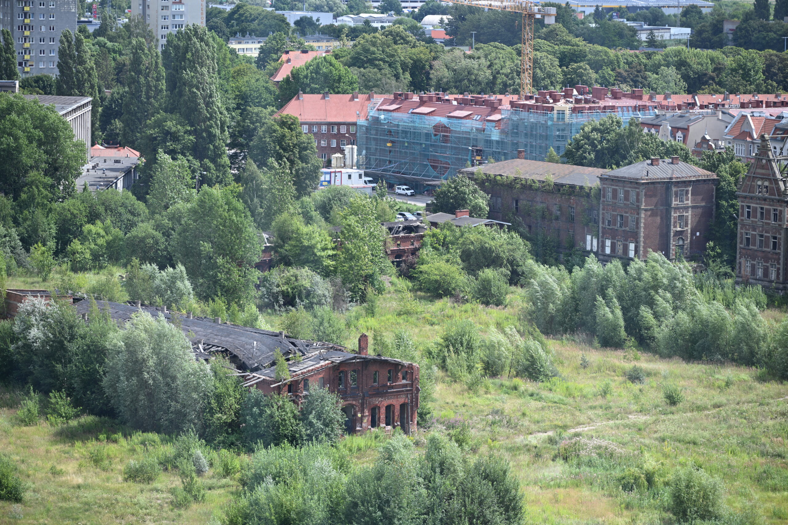 2026_07_29_Gdansk_Kolo_Widokowe_11