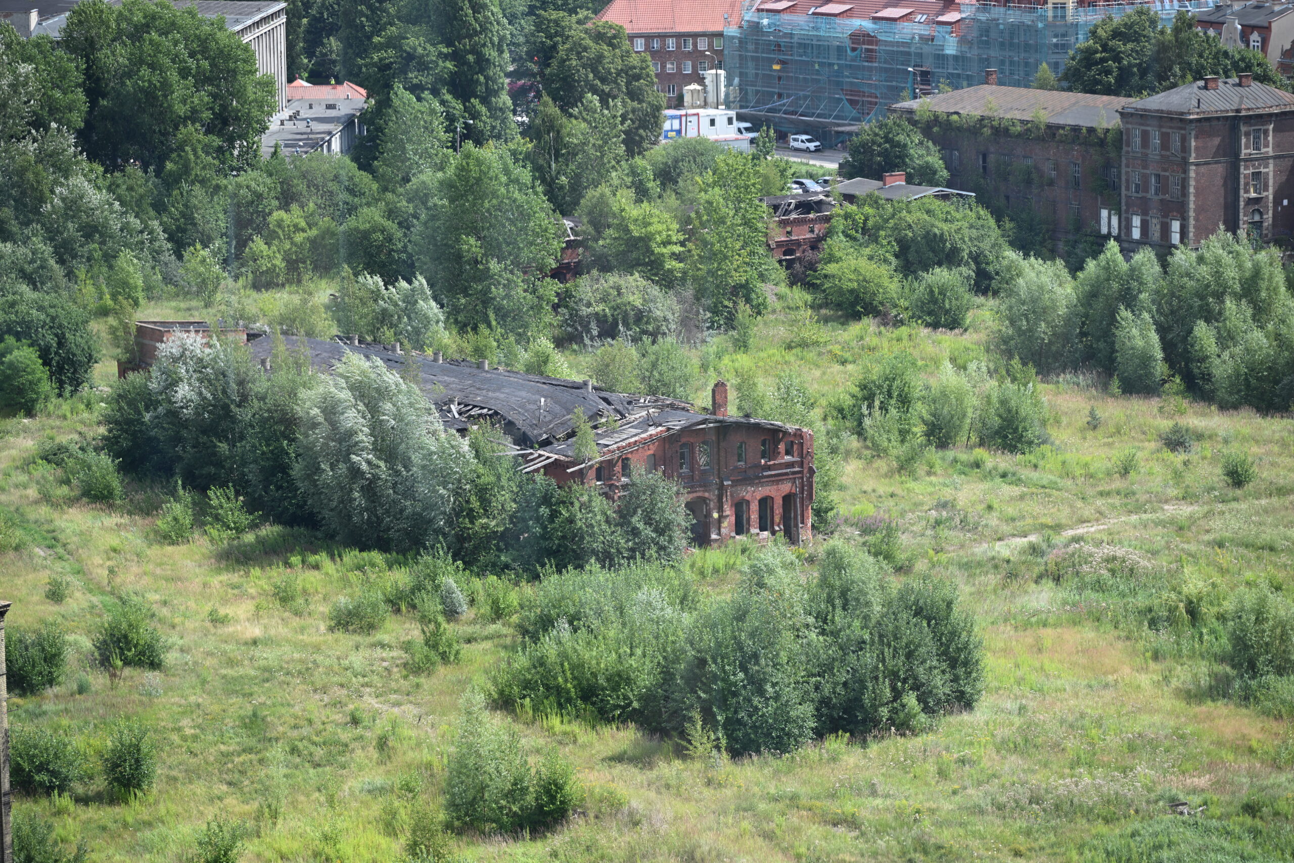 2026_07_29_Gdansk_Kolo_Widokowe_46