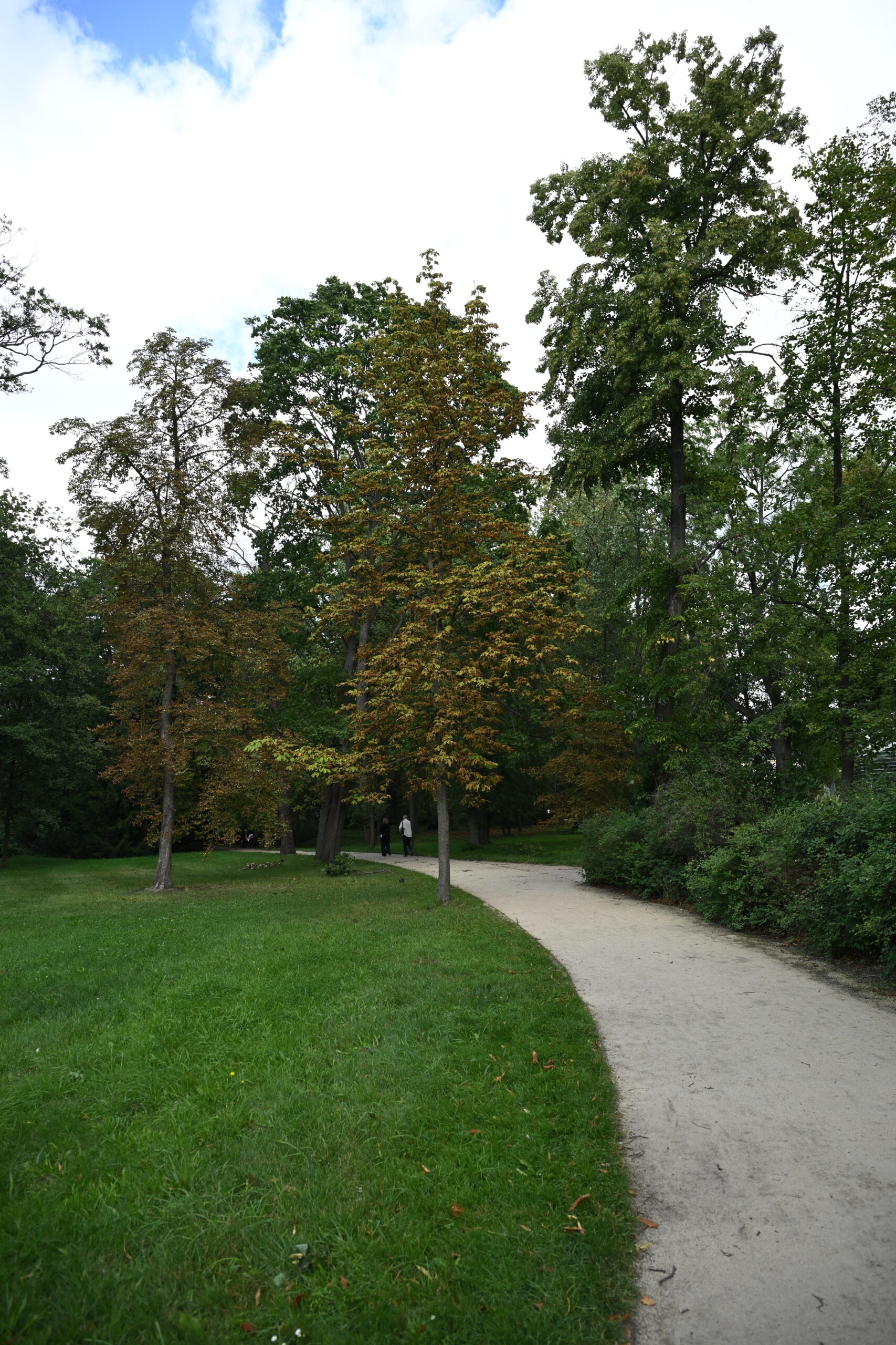 2026_08_23_Warszawa_54