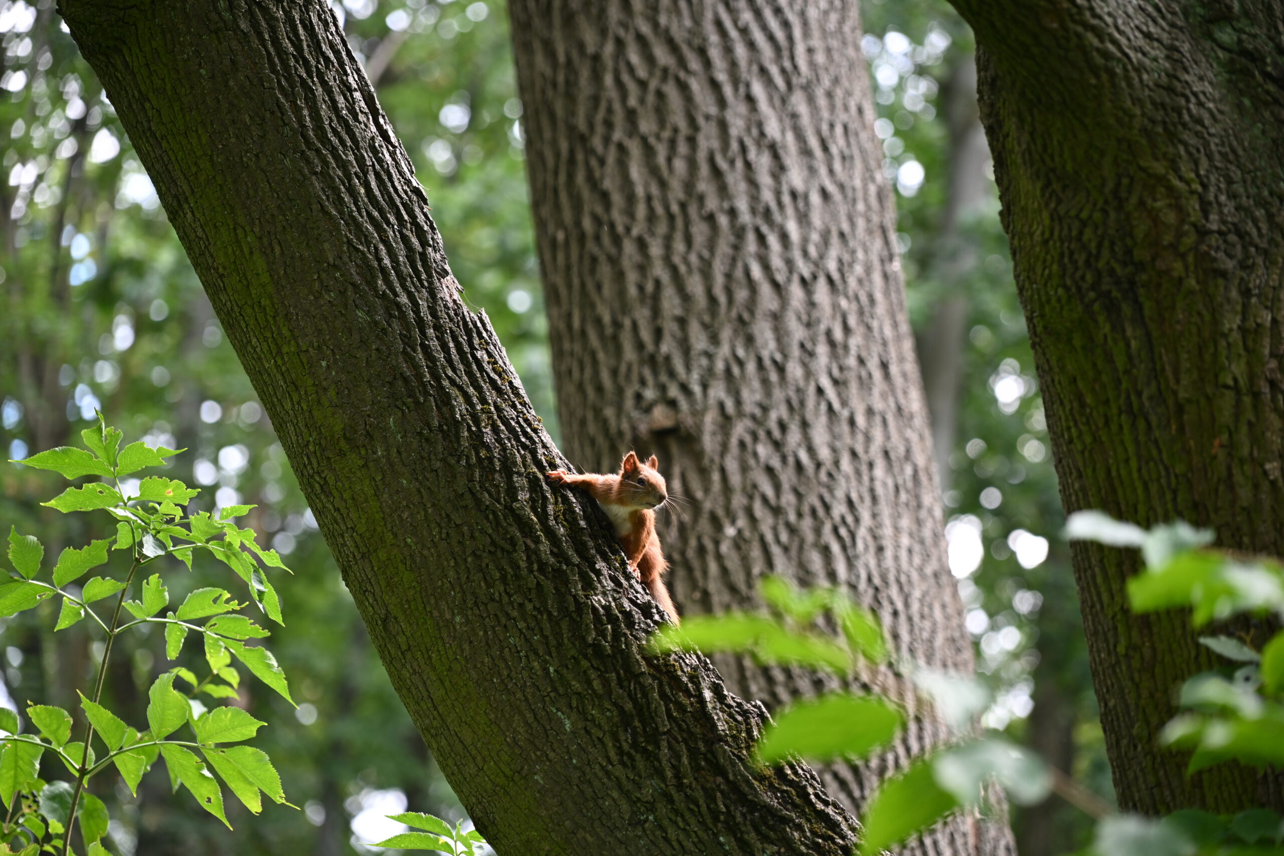 2026_08_23_Warszawa_68
