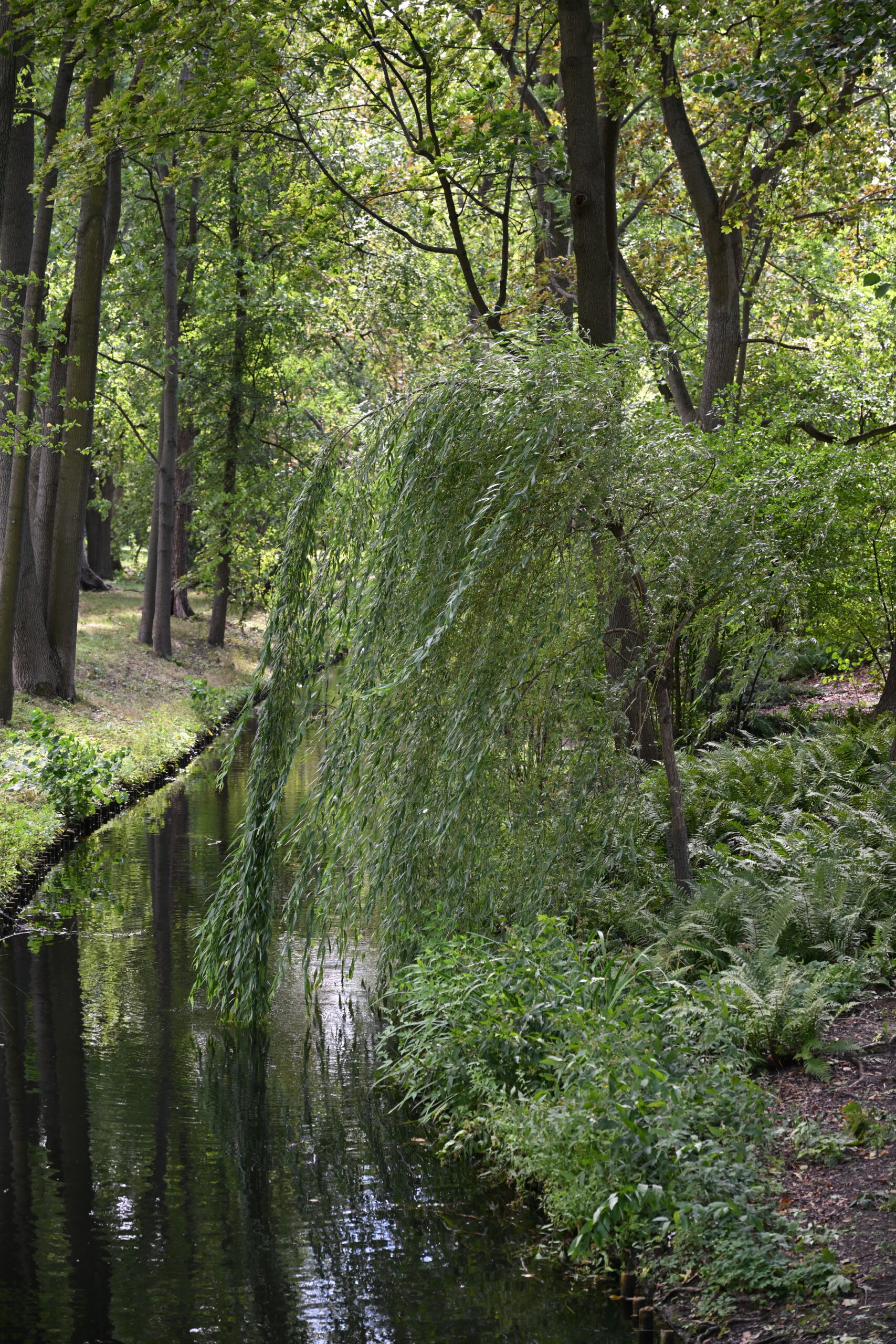 2026_08_23_Warszawa_74
