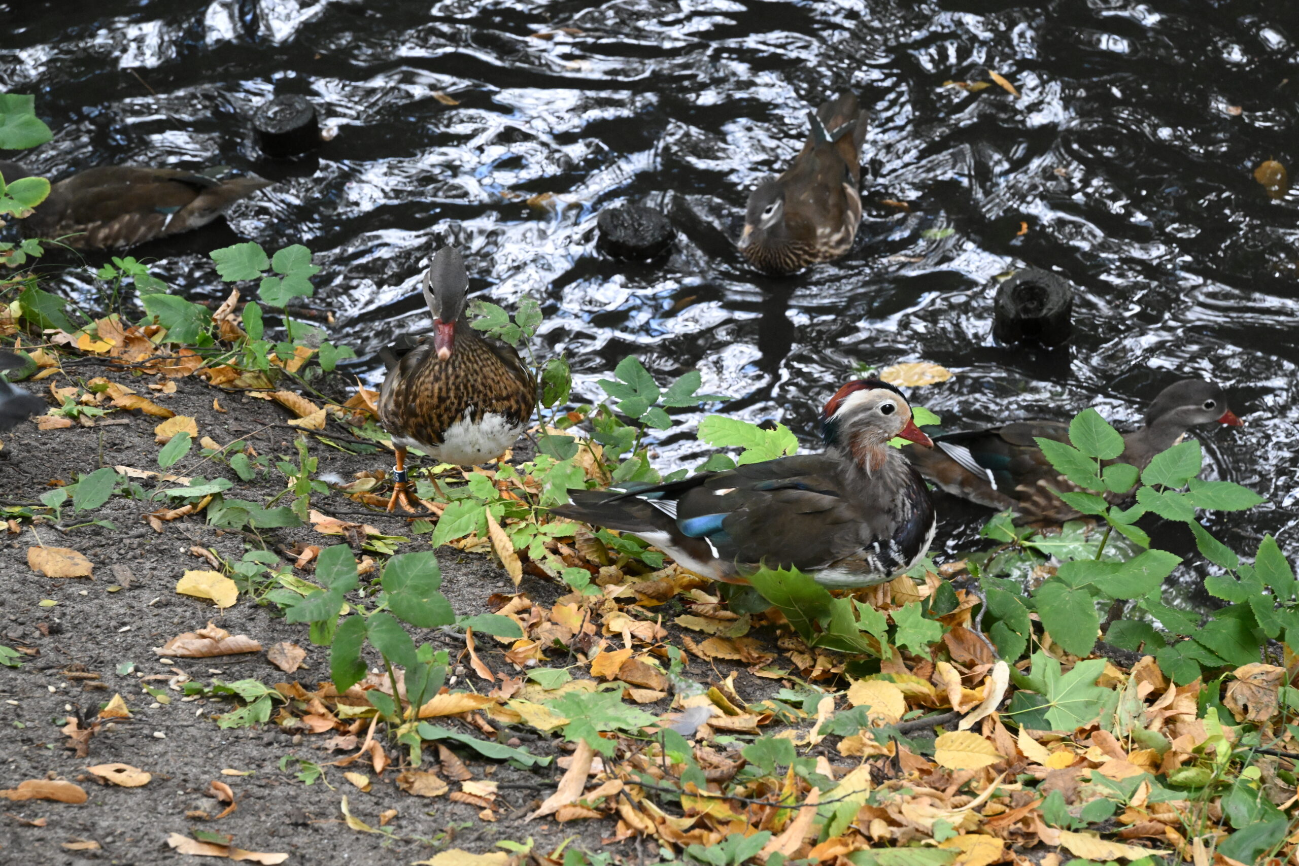 2026_08_23_Warszawa_78