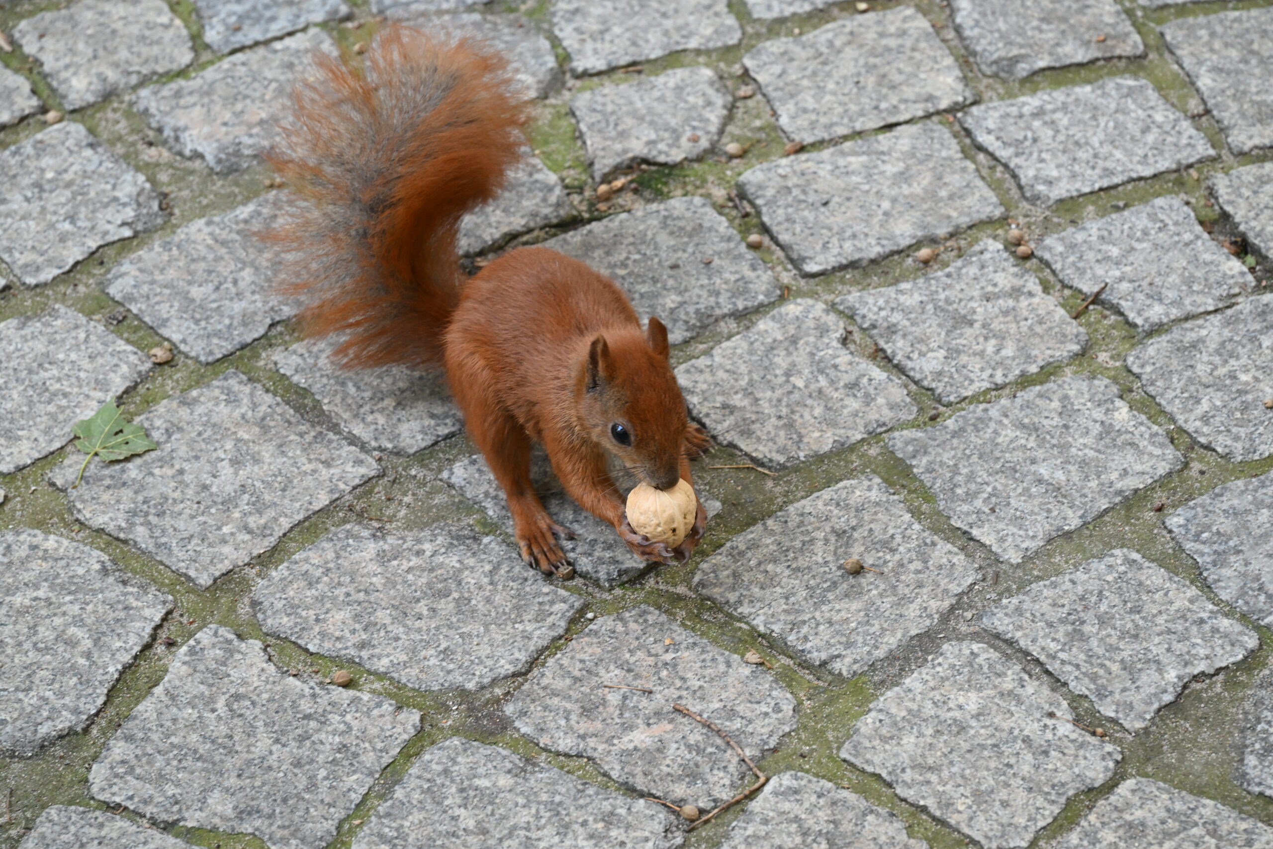 2026_08_23_Warszawa_84
