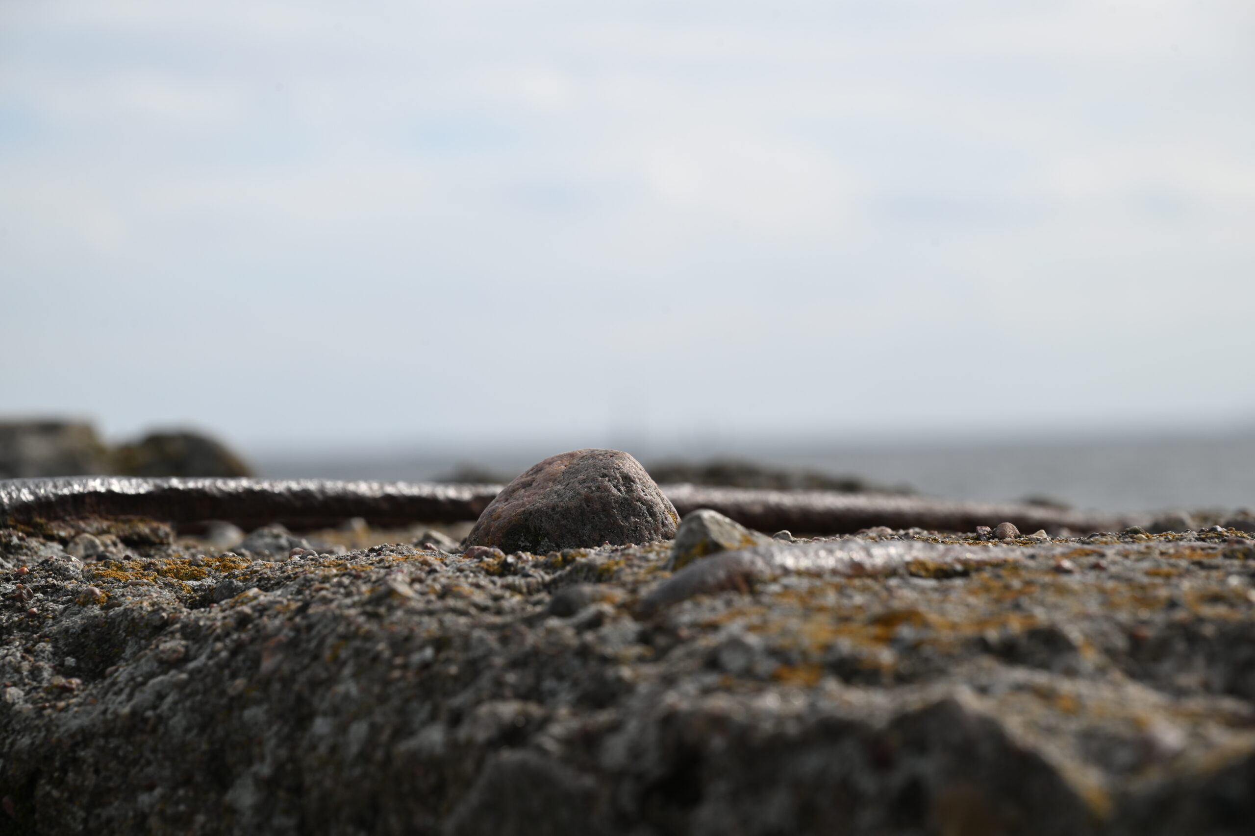 2026_09_19_Gdynia_080