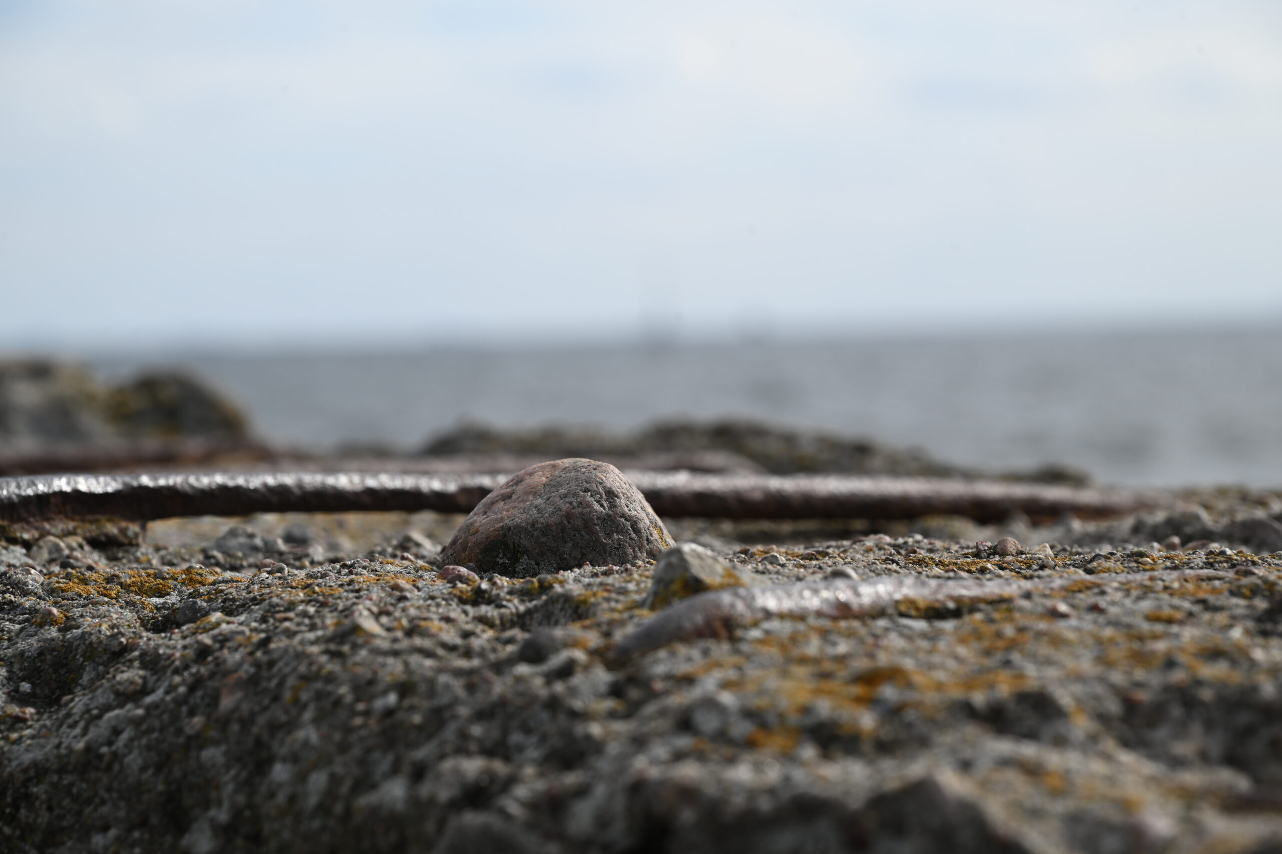2026_09_19_Gdynia_081